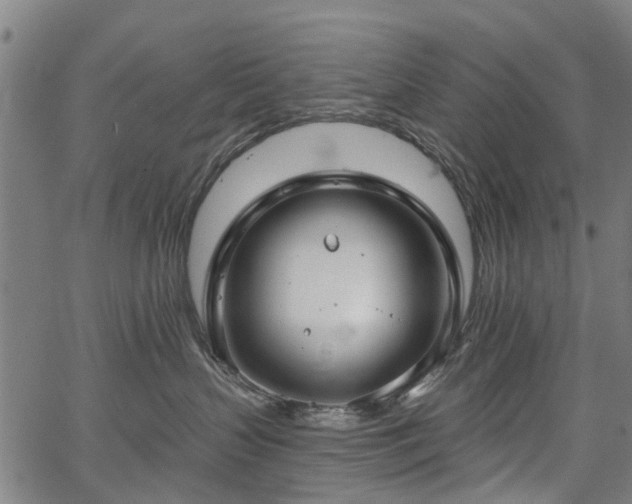 X0000067390383200604031039