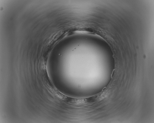 X0000067390384200604031039