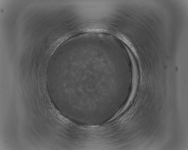 X0000067390385200604031038