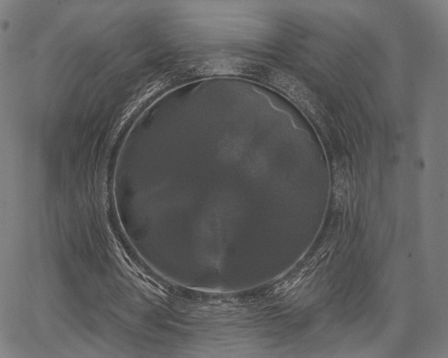 X0000067390386200604031038