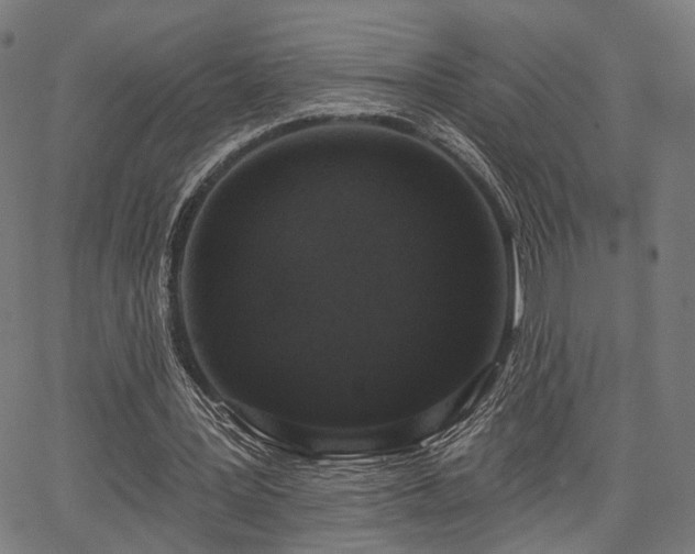 X0000067390387200604031038