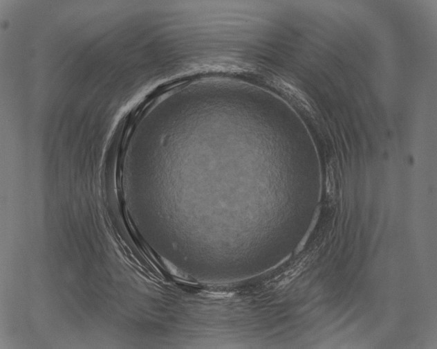 X0000067390388200604031038