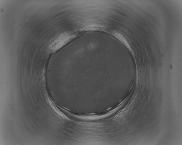 X0000067390389200604031038