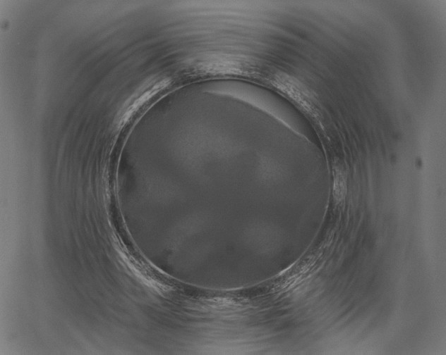 X0000067390390200604031038