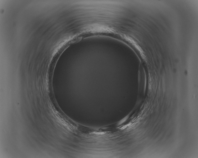 X0000067390391200604031038