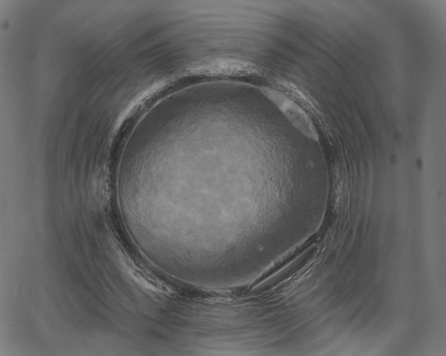 X0000067390392200604031038