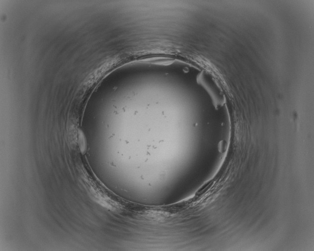 X0000067390393200604031038