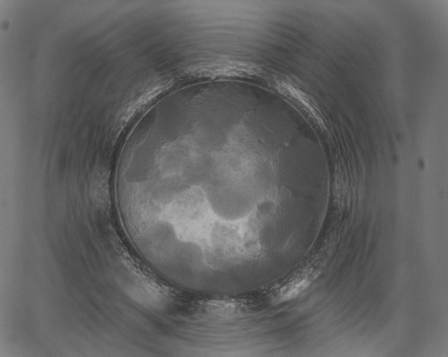 X0000067390394200604031038