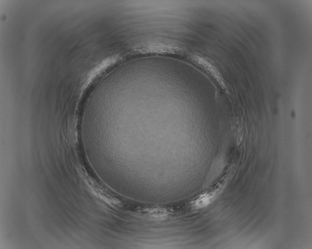 X0000067390395200604031038