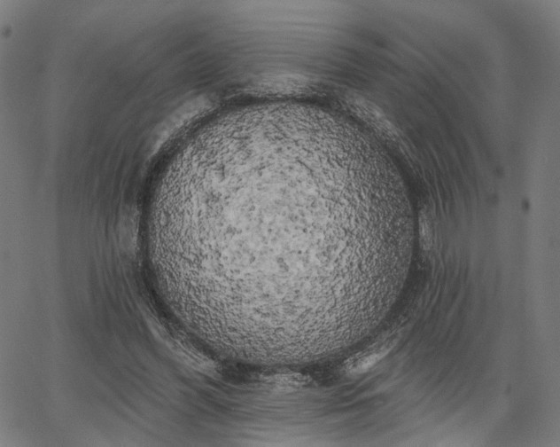 X0000067390396200604031038