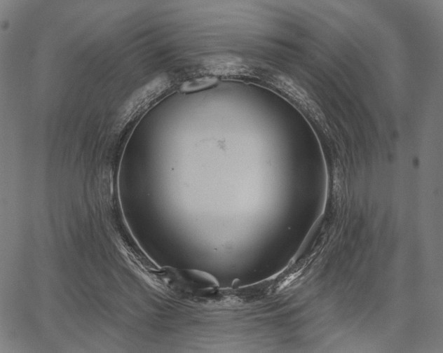 X0000067390397200604031038