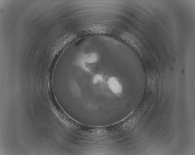 X0000067390398200604031038