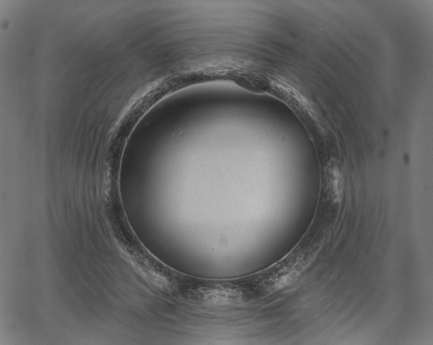 X0000067390400200604031038