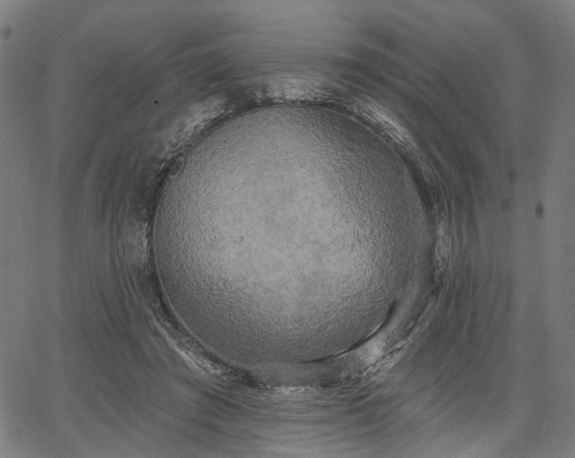 X0000067390401200604031038