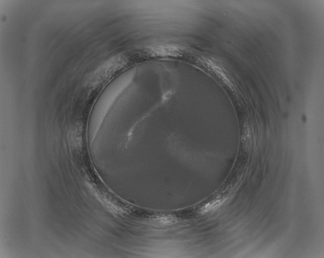 X0000067390402200604031038