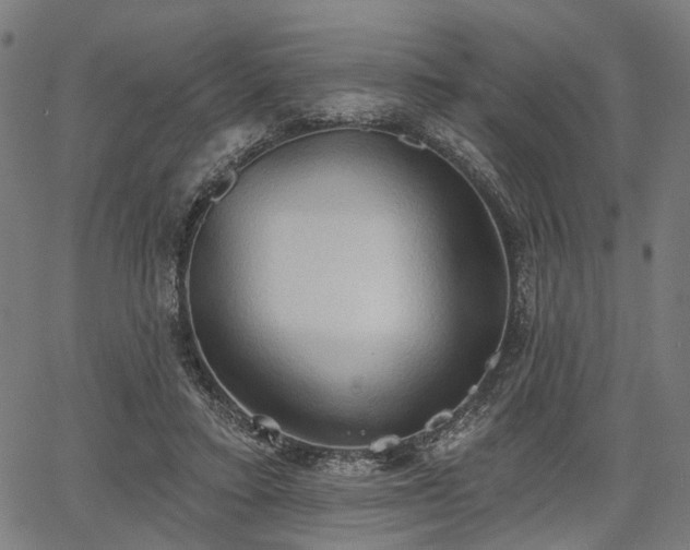 X0000067390403200604031038