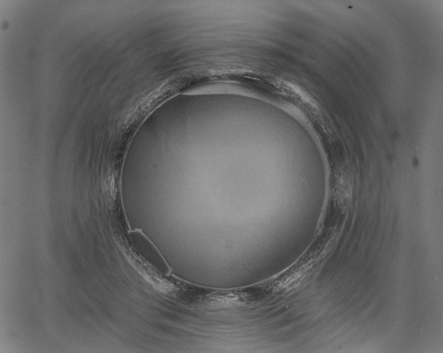 X0000067390405200604031038