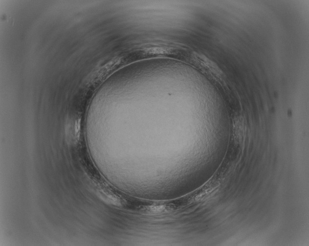 X0000067390406200604031038