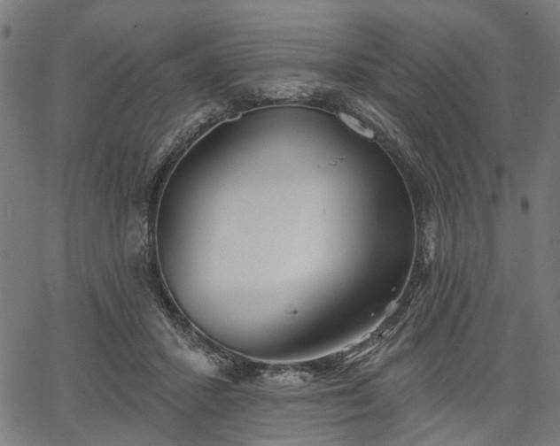 X0000067390407200604031038