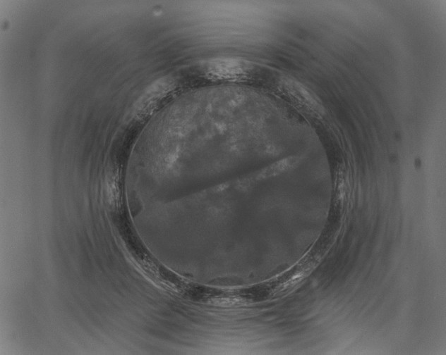 X0000067390408200604031038