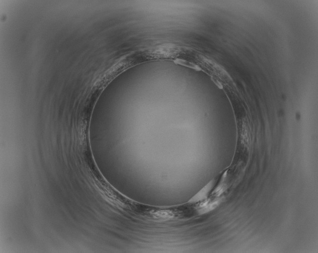 X0000067390409200604031038