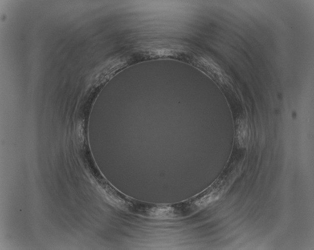 X0000067390410200604031038