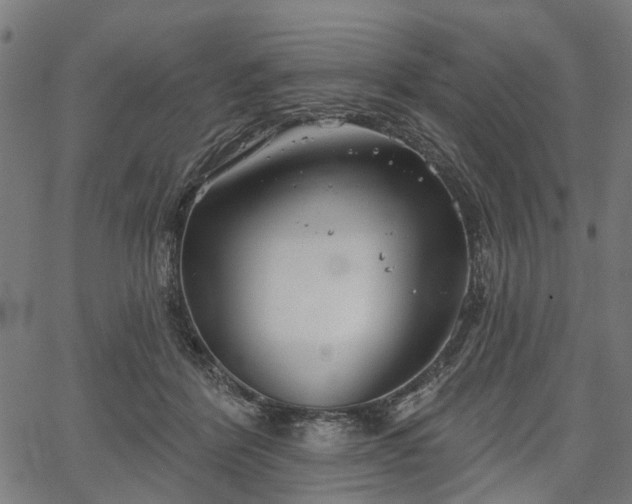 X0000067390412200604031038