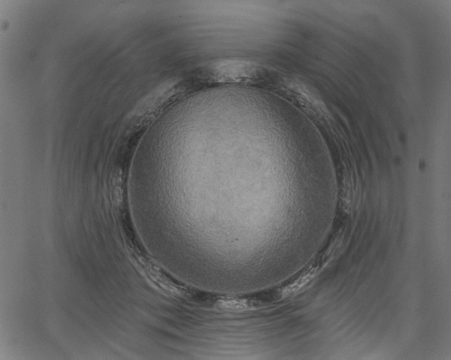 X0000067390413200604031037