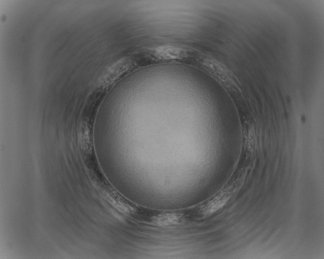 X0000067390418200604031037