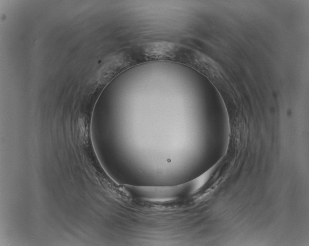 X0000067390420200604031037