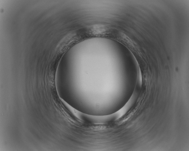 X0000067390421200604031037