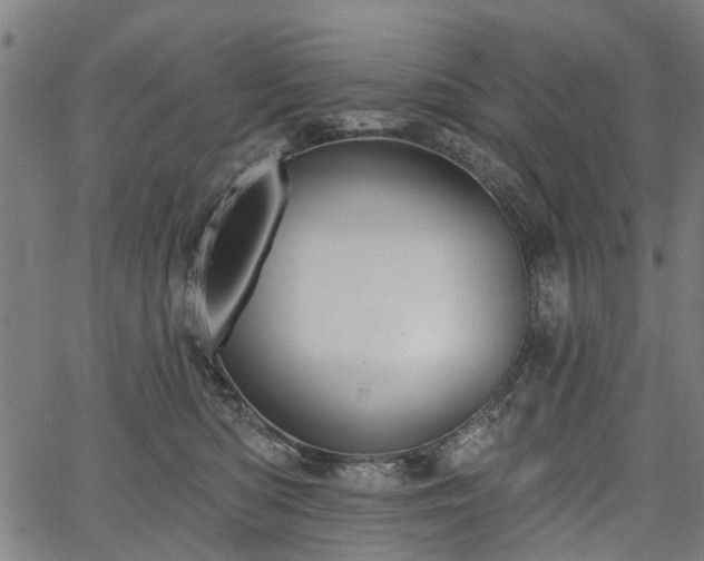 X0000067390422200604031037