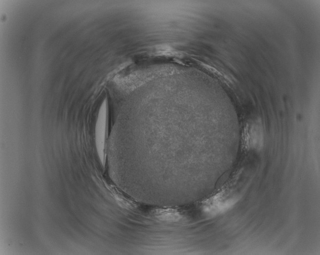 X0000067390424200604031037