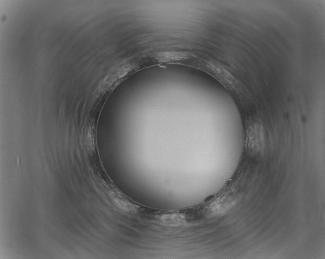 X0000067390426200604031037