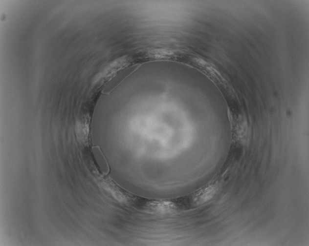 X0000067390427200604031037