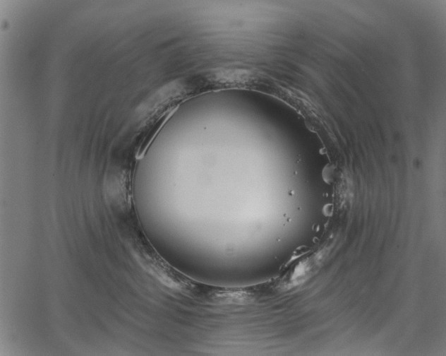 X0000067390428200604031037