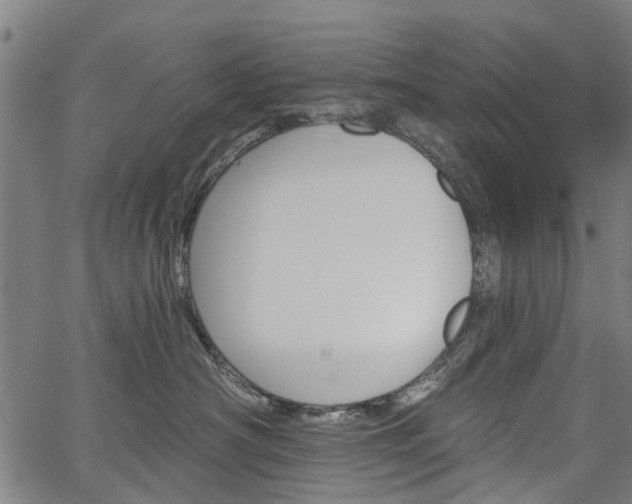 X0000067390430200604031037