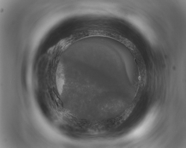 X0000067390431200604031037