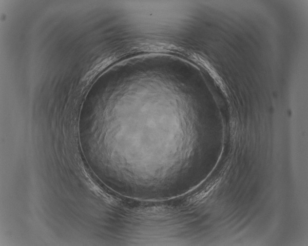 X0000067390433200604031036