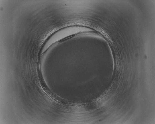 X0000067390434200604031036