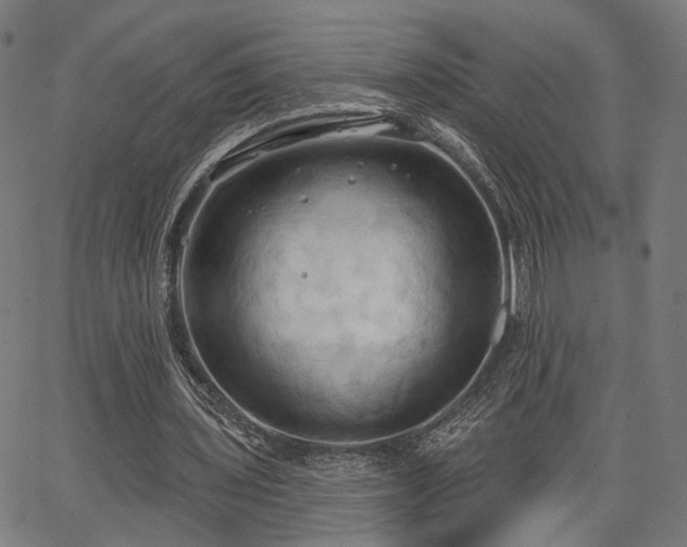 X0000067390435200604031036