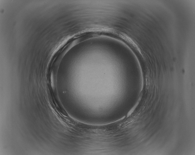 X0000067390436200604031036