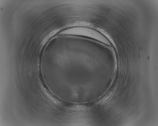 X0000067390437200604031036