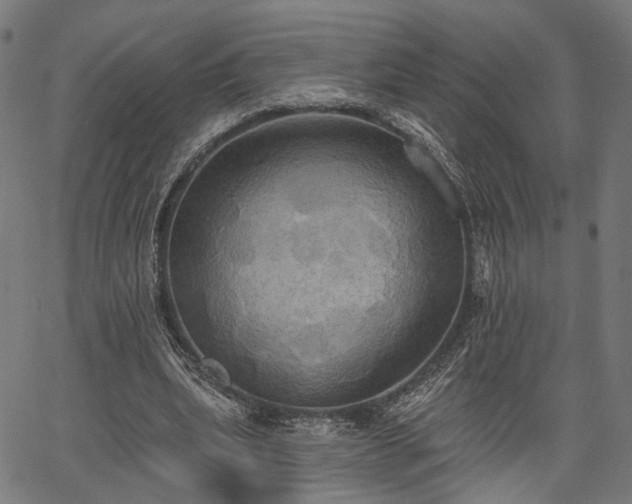 X0000067390439200604031036