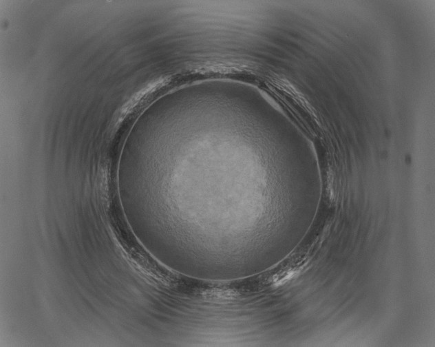 X0000067390444200604031037