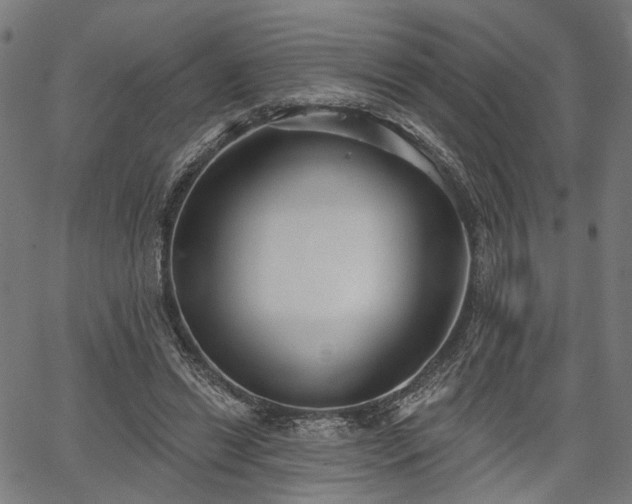 X0000067390446200604031037