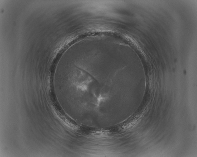 X0000067390447200604031037