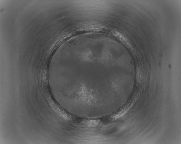 X0000067390449200604031037