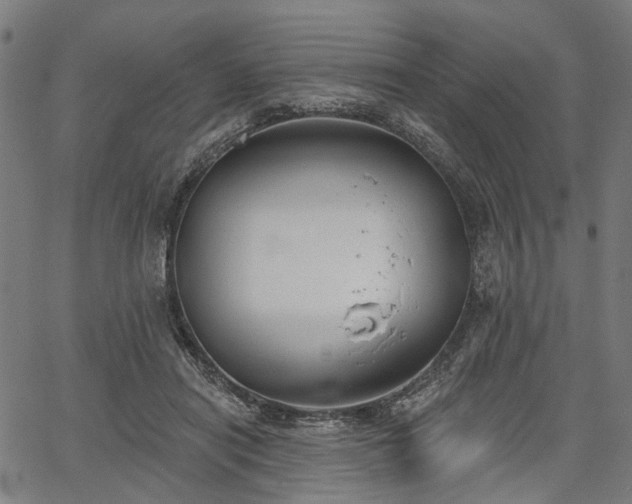 X0000067390454200604031037