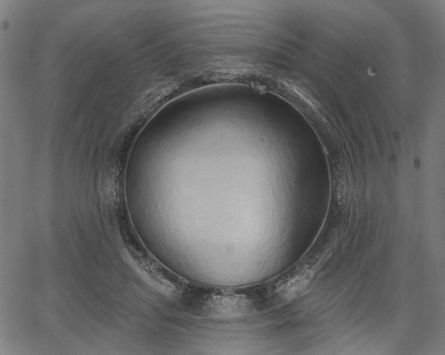 X0000067390455200604031037